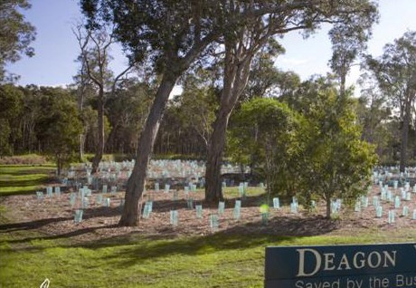 Brisbane 2 Million Trees — Our Urban Forest Program