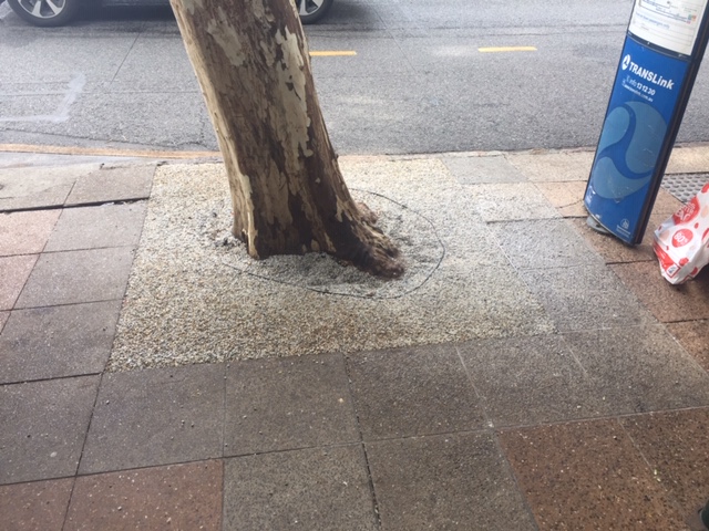 Brisbane CBD Porous Paving and Tree Grates Installation — photo 3
