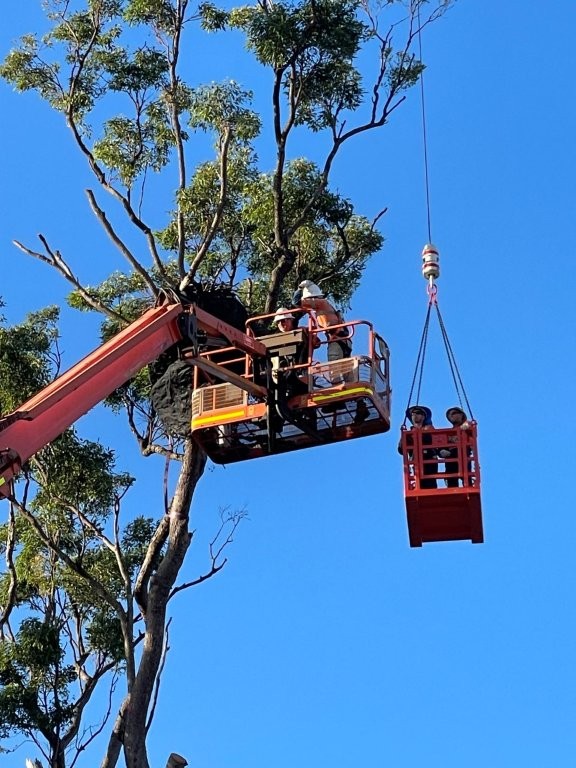Eagles Nest Relocation
