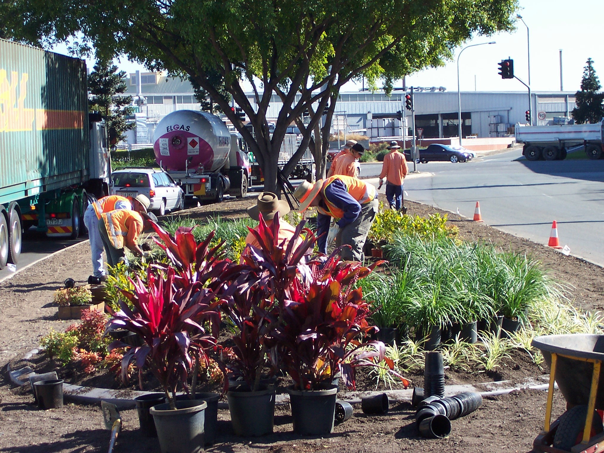 Fison Avenue Upgrade