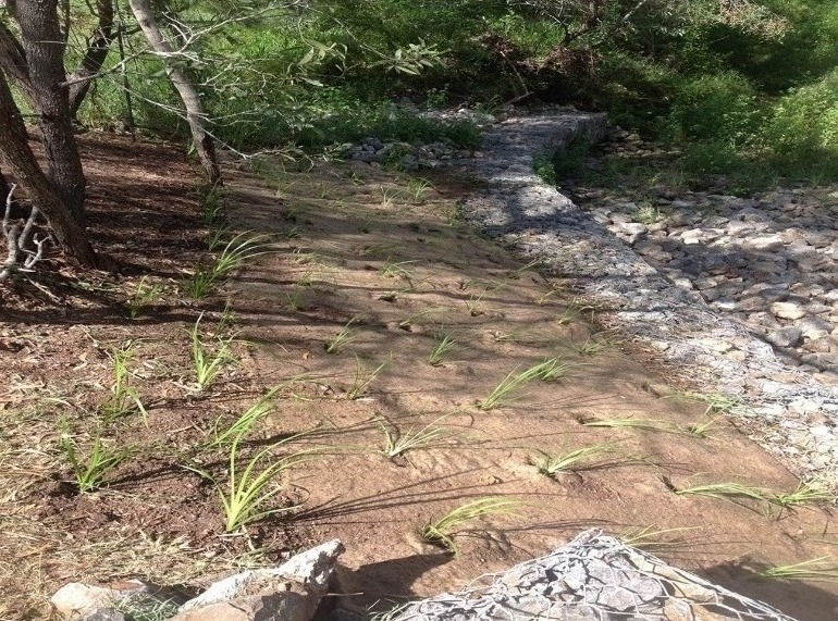 Ghost Gum Court Upgrade