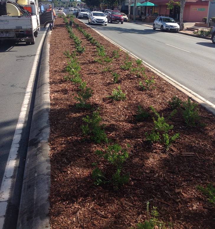 Gympie Road Upgrade — photo 2