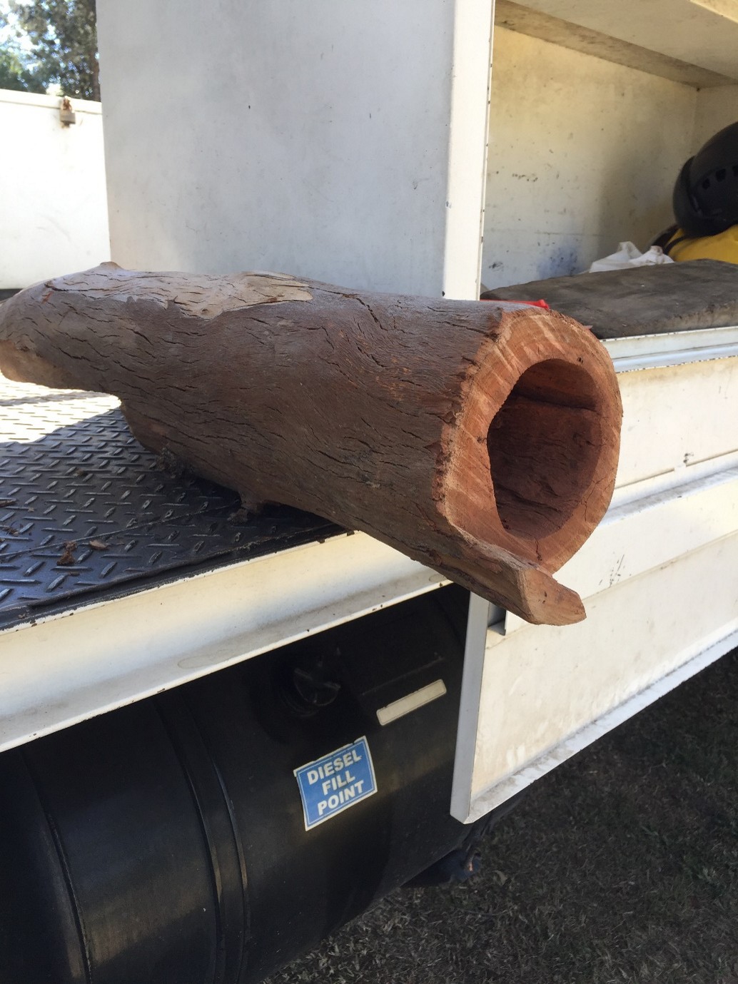 Renmark Court Tree Hollow and Habitat Creation — photo 4